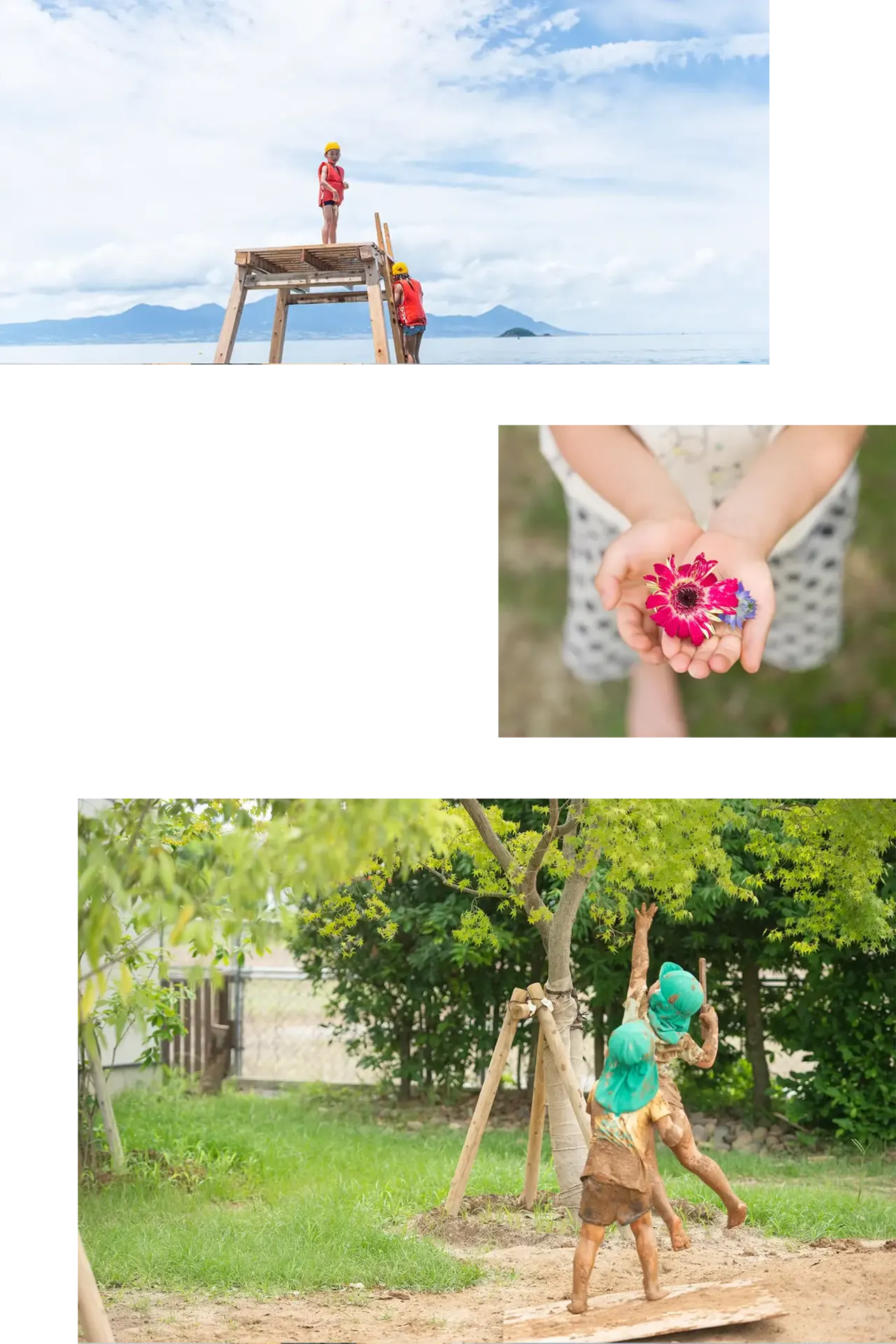 あそびが学びになる園庭