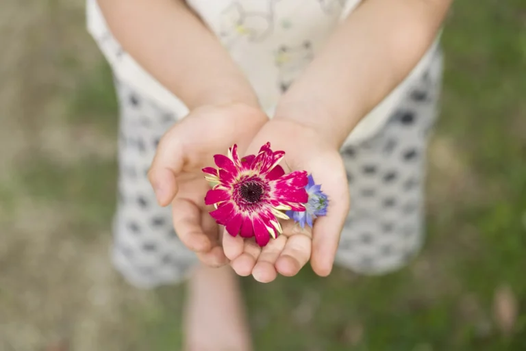 五感をはぐくむ子どもの遊び 写真とメッセージ展示